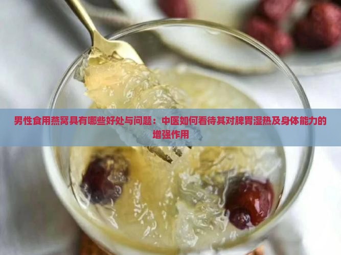 男性食用燕窝具有哪些好处与问题：中医如何看待其对脾胃湿热及身体能力的增强作用