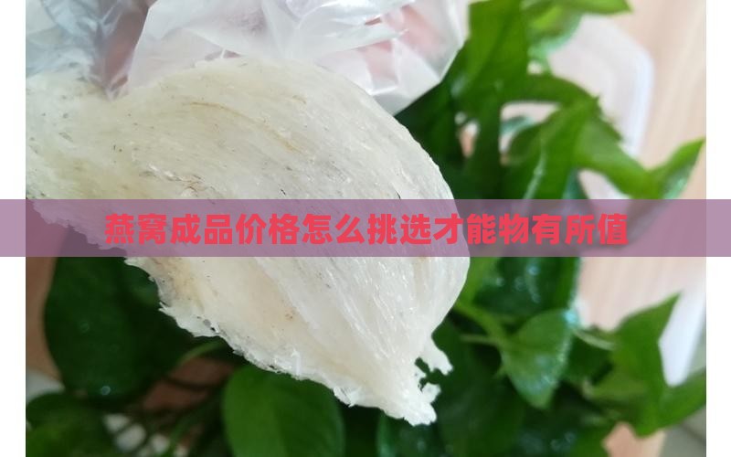 燕窝成品价格怎么挑选才能物有所值