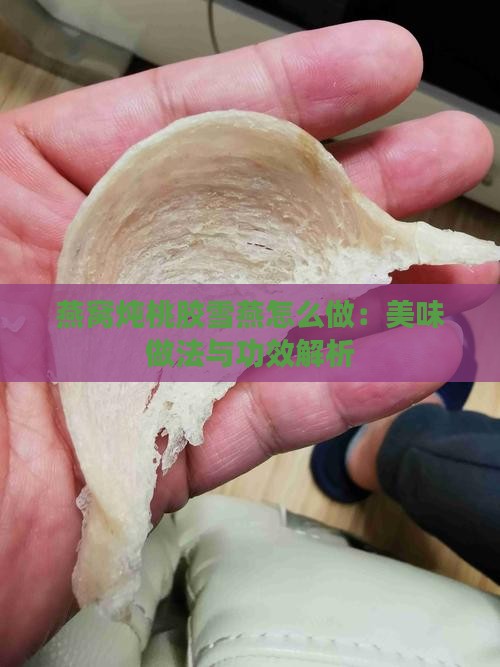 燕窝炖桃胶雪燕怎么做：美味做法与功效解析