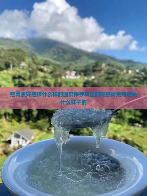 燕窝煮好应该什么样的温度保存真正的好燕窝煮熟后是什么样子的