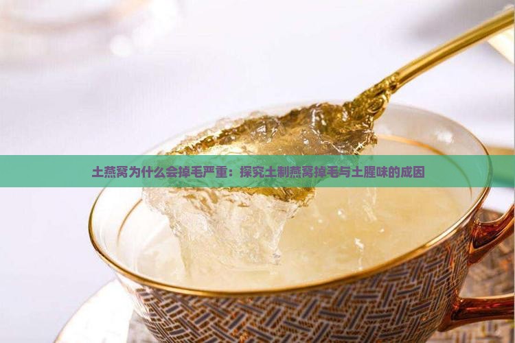 土燕窝为什么会掉毛严重：探究土制燕窝掉毛与土腥味的成因