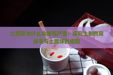土燕窝为什么会掉毛严重：探究土制燕窝掉毛与土腥味的成因