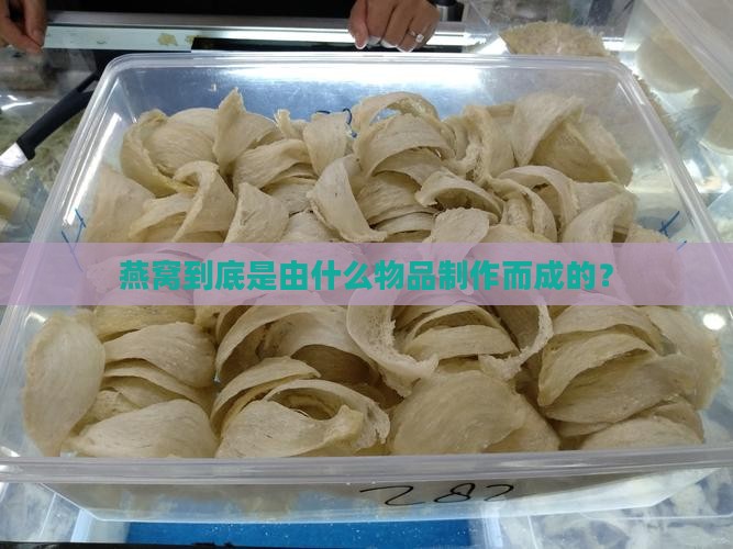 燕窝到底是由什么物品制作而成的？