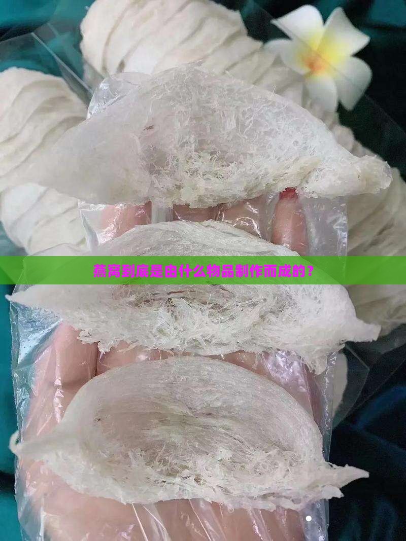 燕窝到底是由什么物品制作而成的？