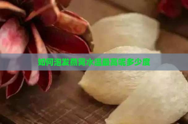 如何泡发燕窝水温最高呢多少度