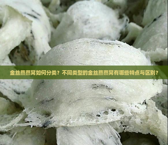金丝燕燕窝如何分类？不同类型的金丝燕燕窝有哪些特点与区别？