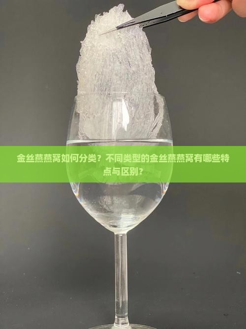 金丝燕燕窝如何分类？不同类型的金丝燕燕窝有哪些特点与区别？
