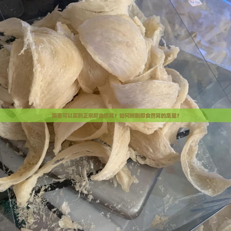 哪里可以买到正宗即食燕窝？如何辨别即食燕窝的质量？