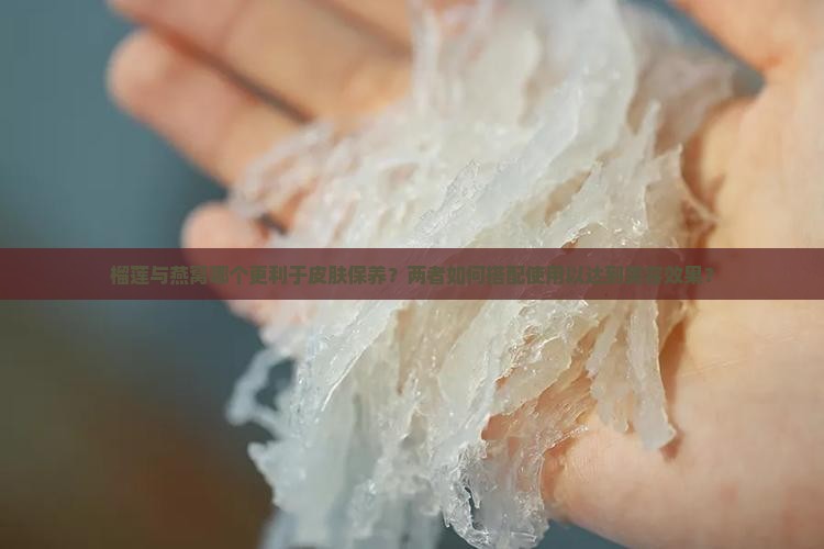 榴莲与燕窝哪个更利于皮肤保养？两者如何搭配使用以达到美容效果？