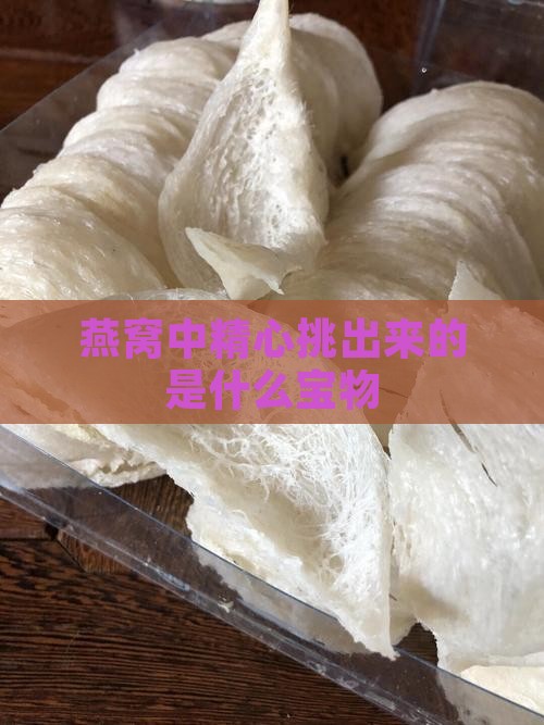 燕窝中精心挑出来的是什么宝物