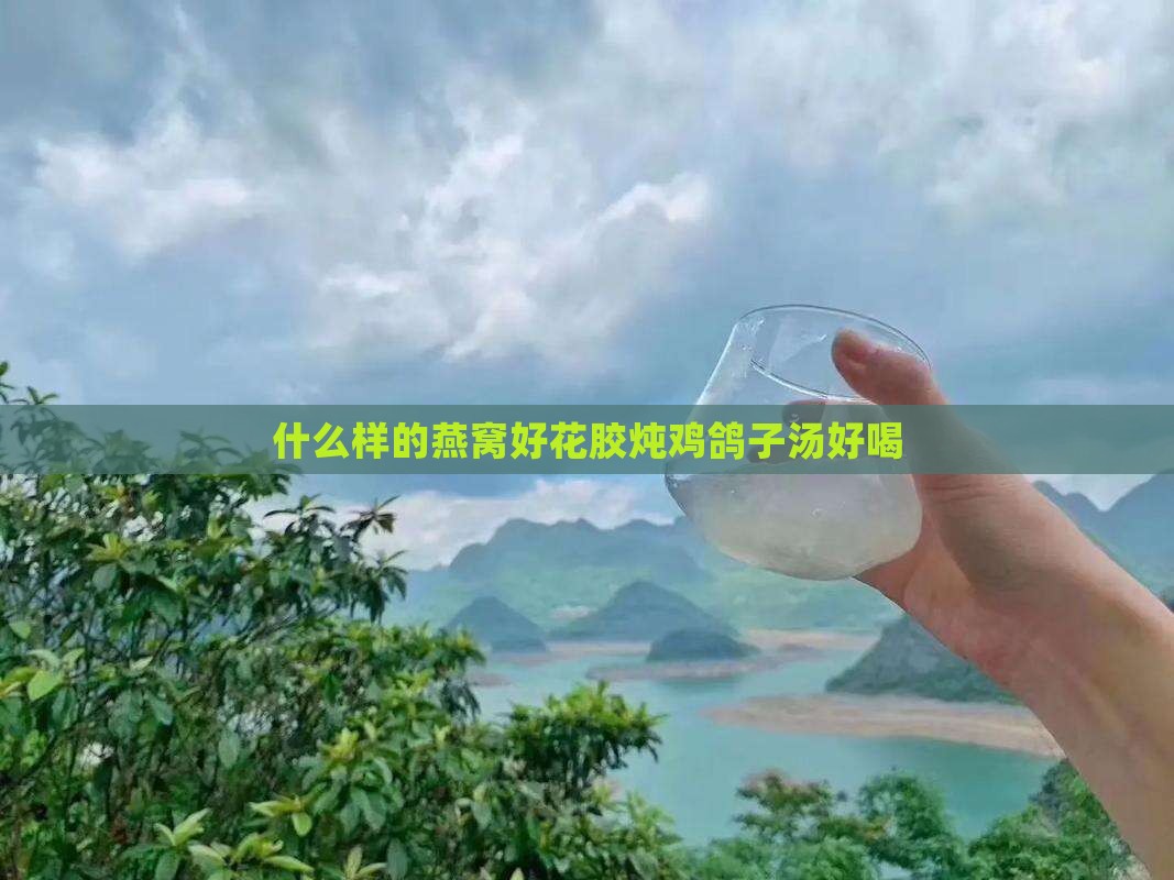 什么样的燕窝好花胶炖鸡鸽子汤好喝