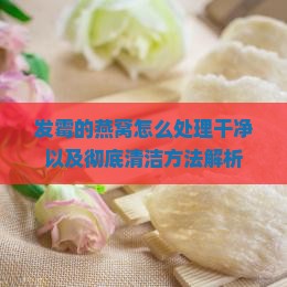 发霉的燕窝怎么处理干净以及彻底清洁方法解析