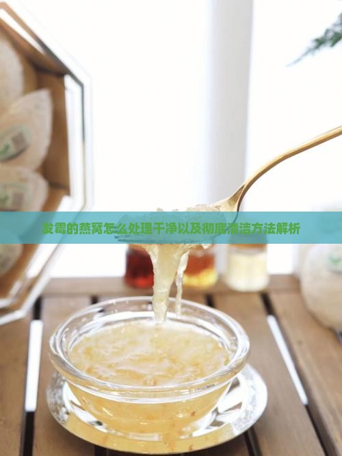 发霉的燕窝怎么处理干净以及彻底清洁方法解析