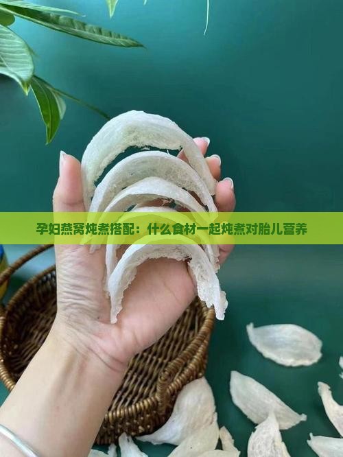 孕妇燕窝炖煮搭配：什么食材一起炖煮对胎儿营养
