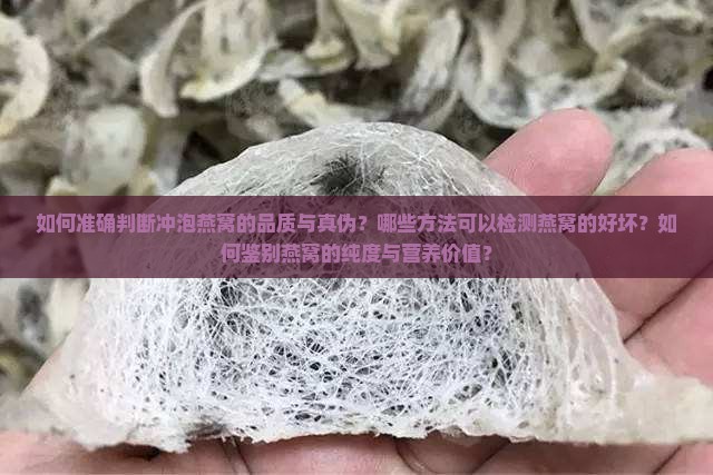 如何准确判断冲泡燕窝的品质与真伪？哪些方法可以检测燕窝的好坏？如何鉴别燕窝的纯度与营养价值？