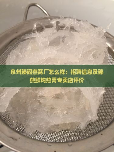 泉州臻阁燕窝厂怎么样：招聘信息及臻燕鲜炖燕窝专卖店评价