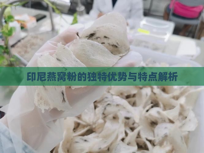 印尼燕窝粉的独特优势与特点解析
