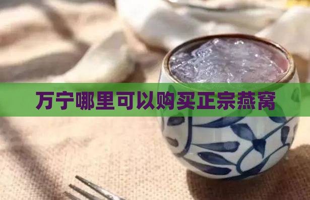 万宁哪里可以购买正宗燕窝