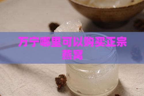 万宁哪里可以购买正宗燕窝