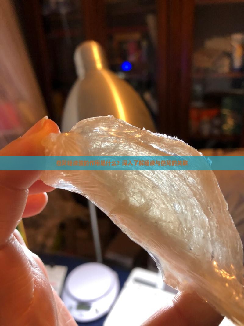 燕窝唾液酸的作用是什么？深入了解唾液与燕窝的关联