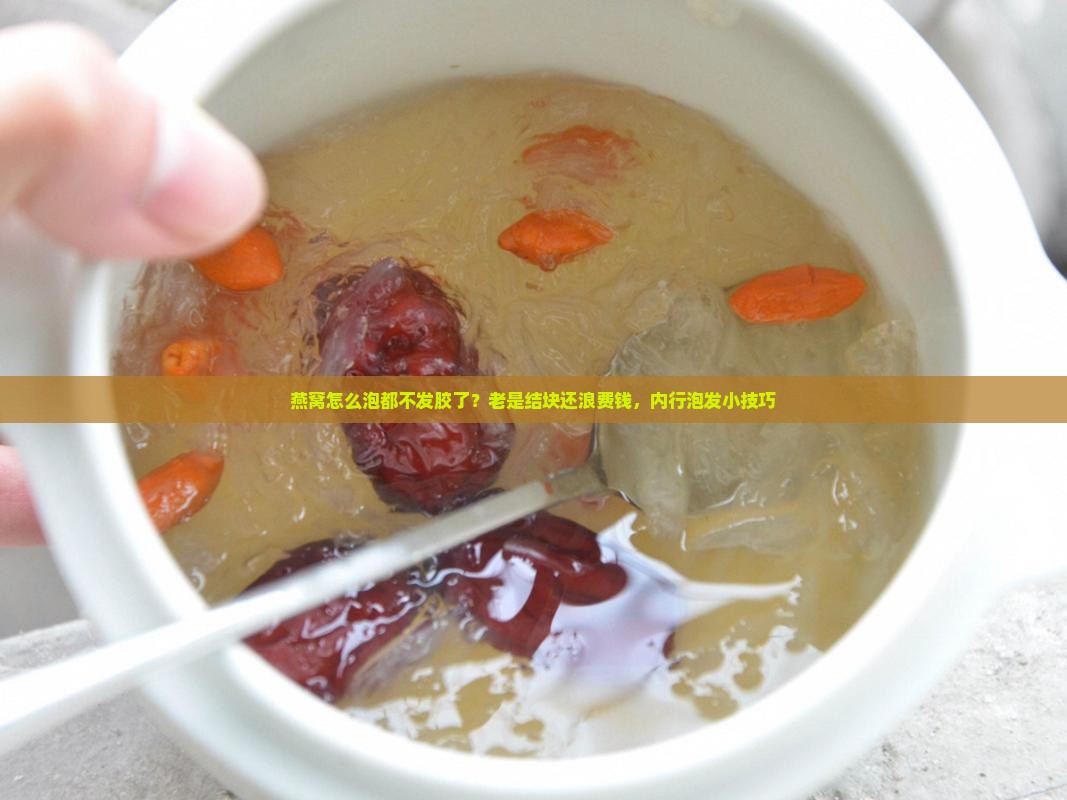 燕窝怎么泡都不发胶了？老是结块还浪费钱，内行泡发小技巧