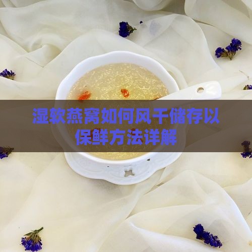 湿软燕窝如何风干储存以保鲜方法详解