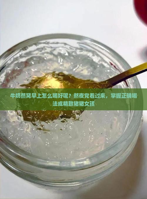 牛奶燕窝早上怎么喝好呢？熬夜党看过来，掌握正确喝法成精致猪猪女孩