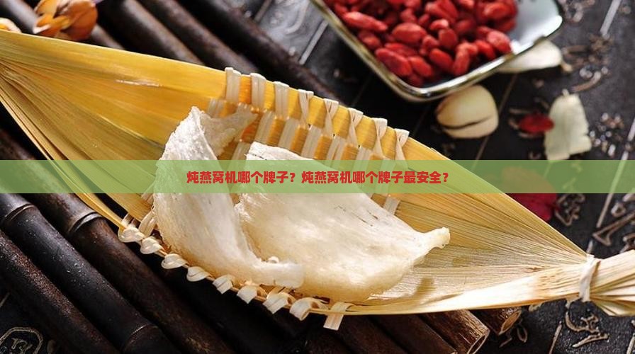 炖燕窝机哪个牌子？炖燕窝机哪个牌子最安全？