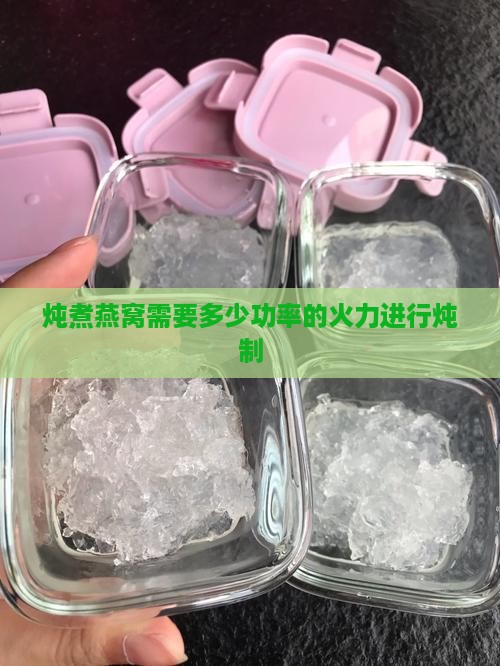 炖煮燕窝需要多少功率的火力进行炖制