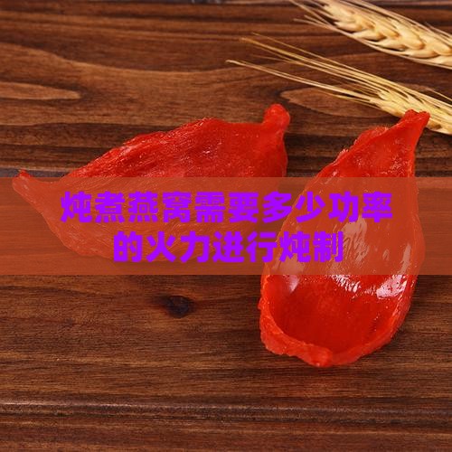 炖煮燕窝需要多少功率的火力进行炖制