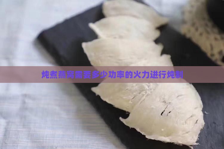 炖煮燕窝需要多少功率的火力进行炖制
