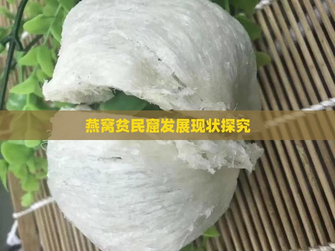 燕窝贫民窟发展现状探究