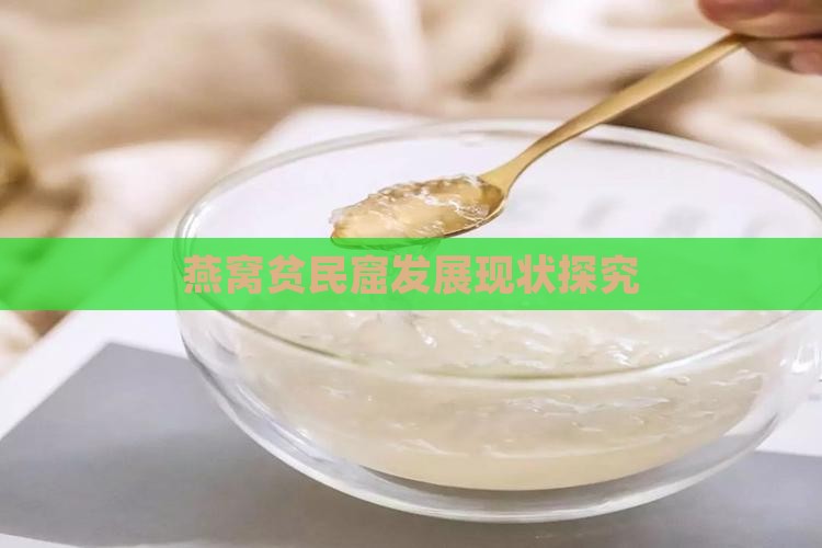 燕窝贫民窟发展现状探究