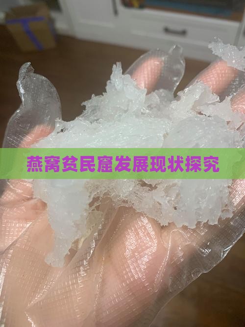 燕窝贫民窟发展现状探究