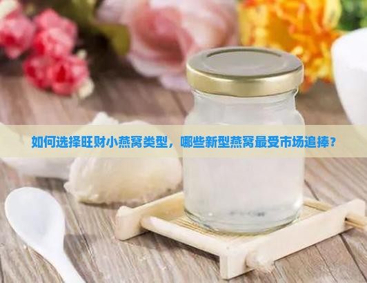 如何选择旺财小燕窝类型，哪些新型燕窝最受市场追捧？