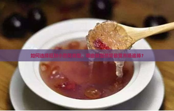 如何选择旺财小燕窝类型，哪些新型燕窝最受市场追捧？