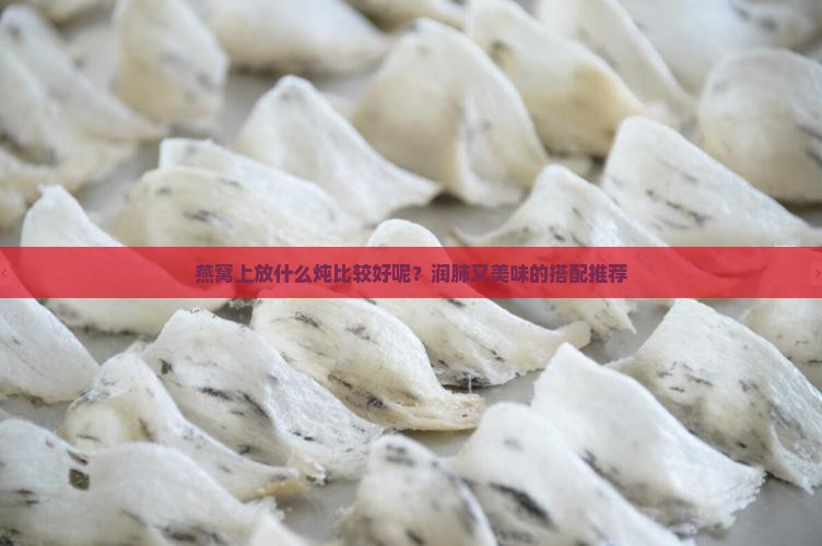 燕窝上放什么炖比较好呢？润肺又美味的搭配推荐