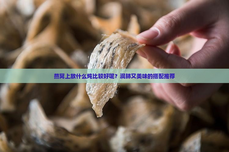 燕窝上放什么炖比较好呢？润肺又美味的搭配推荐