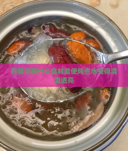 燕窝搭配什么食材能使炖煮水变得清澈透亮