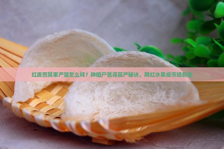 红皮燕窝果产量怎么样？种植户苦寻高产秘诀，网红水果成市场新宠