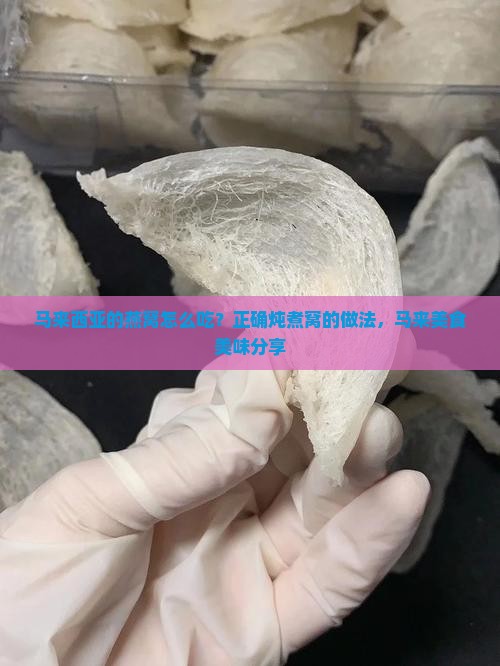马来西亚的燕窝怎么吃？正确炖煮窝的做法，马来美食美味分享