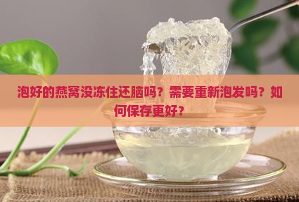 泡好的燕窝没冻住还脑吗？需要重新泡发吗？如何保存更好？