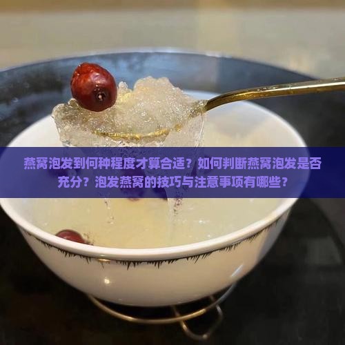 燕窝泡发到何种程度才算合适？如何判断燕窝泡发是否充分？泡发燕窝的技巧与注意事项有哪些？