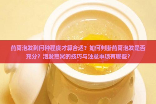 燕窝泡发到何种程度才算合适？如何判断燕窝泡发是否充分？泡发燕窝的技巧与注意事项有哪些？