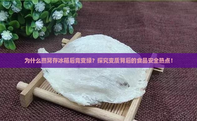为什么燕窝存冰箱后竟变绿？探究变质背后的食品安全热点！