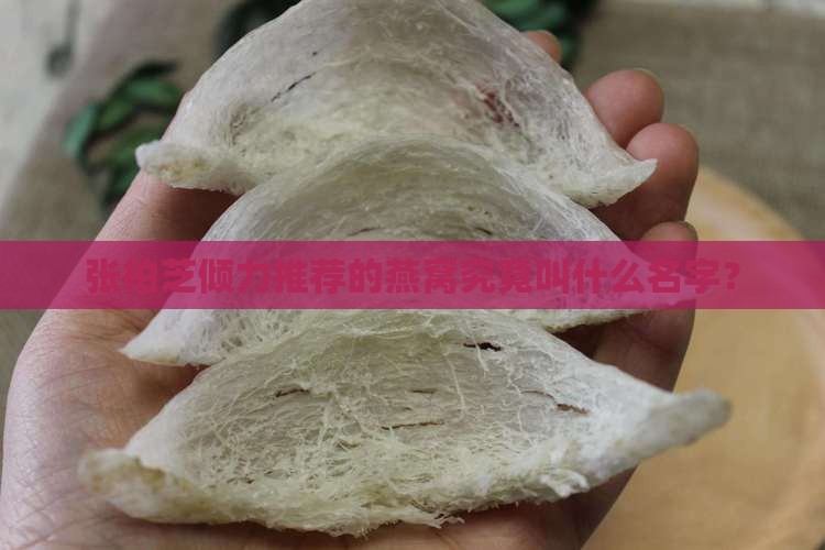 张柏芝倾力推荐的燕窝究竟叫什么名字？