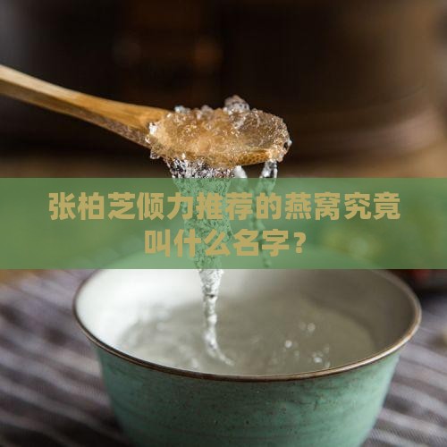 张柏芝倾力推荐的燕窝究竟叫什么名字？