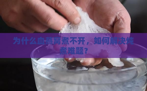 为什么血燕窝煮不开，如何解决炖煮难题？