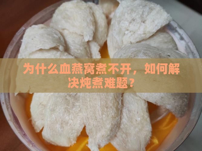 为什么血燕窝煮不开，如何解决炖煮难题？