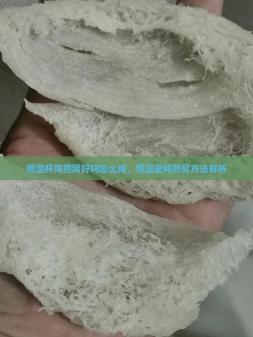 恒温杯炖燕窝好吗怎么炖，恒温壶炖燕窝方法解析